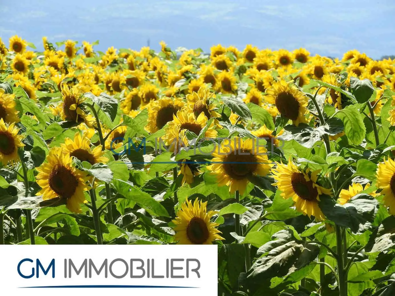 Terrain à bâtir de 603 m² à Magescq, prêt à construire, idéal pour projet familial ou investissement