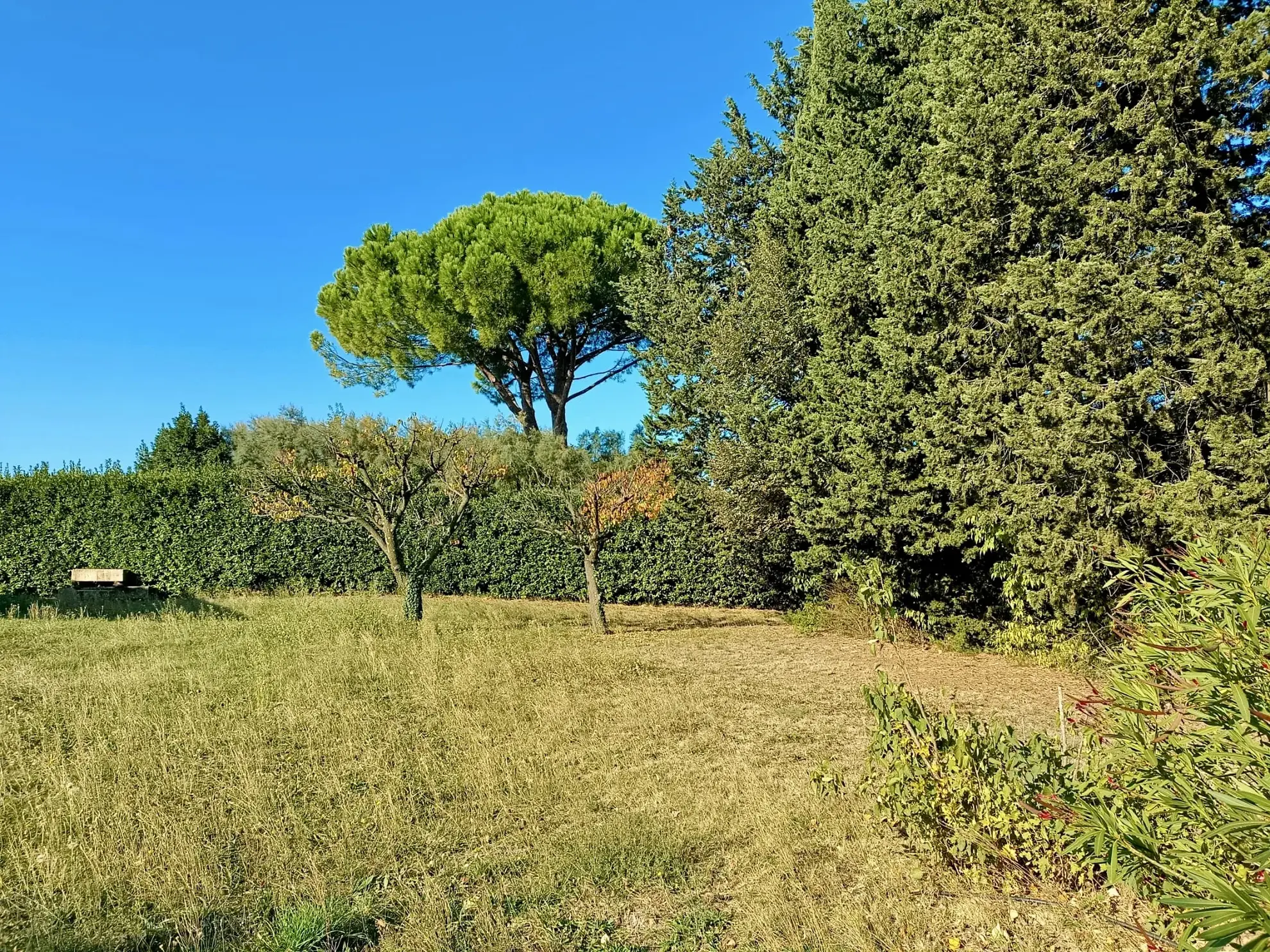 Terrain constructible de 502 m² à Meynes – Opportunité à saisir