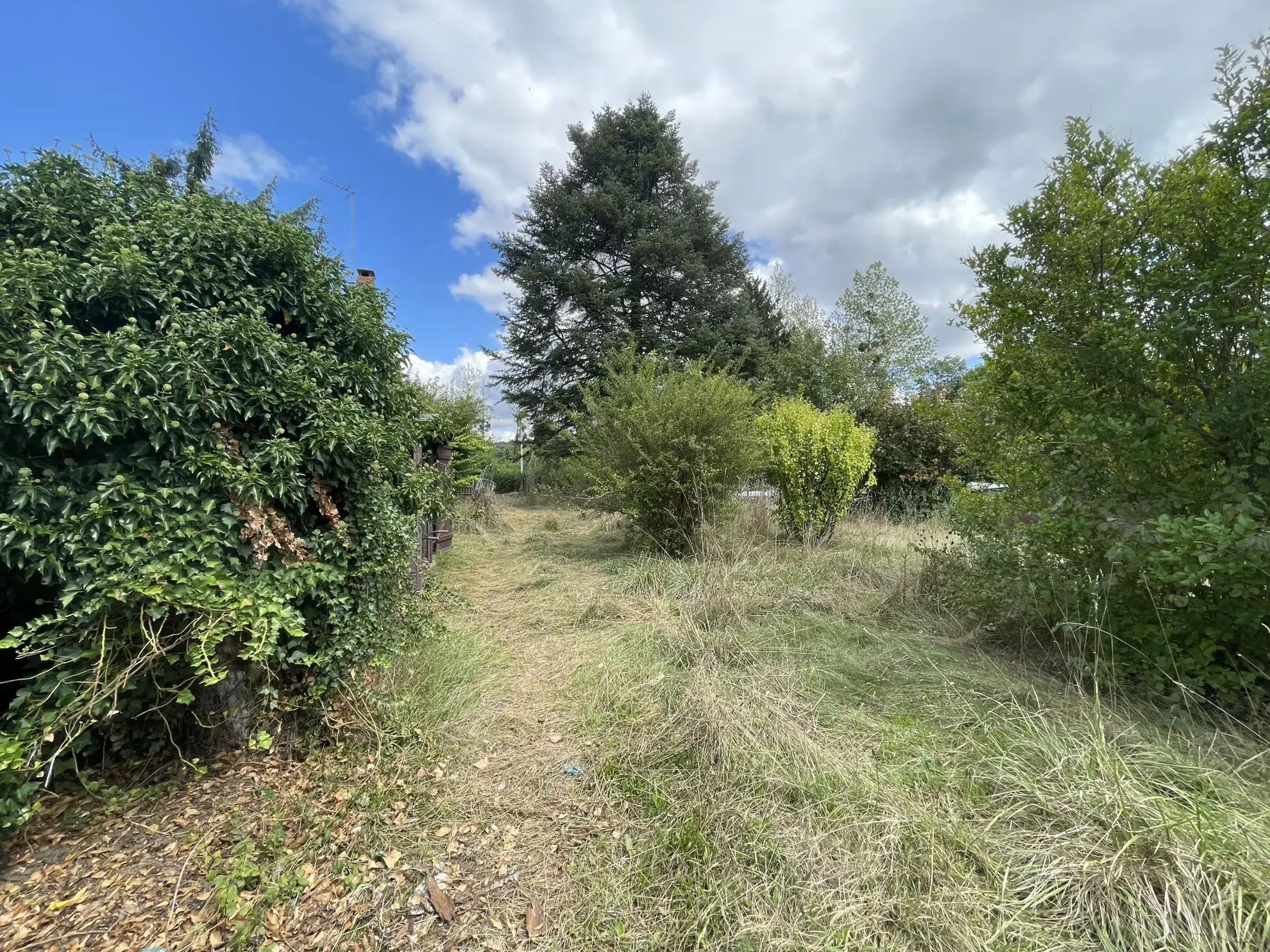 Maison plain-pied avec grand potentiel à 15 min de La Charité-sur-Loire 