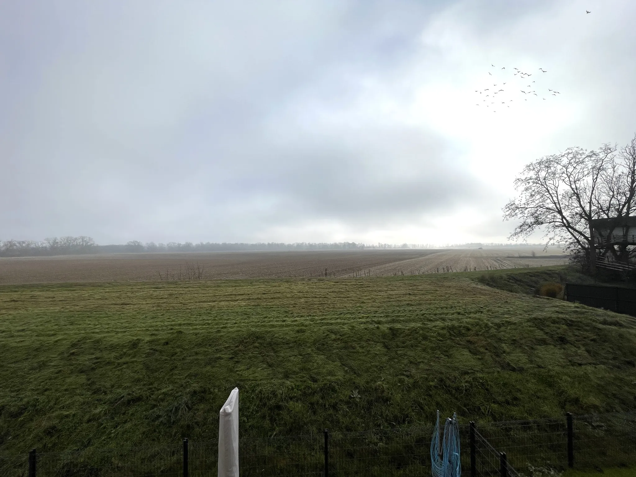 Maison individuelle neuve à Ensisheim en 2025 avec jardin et garage 