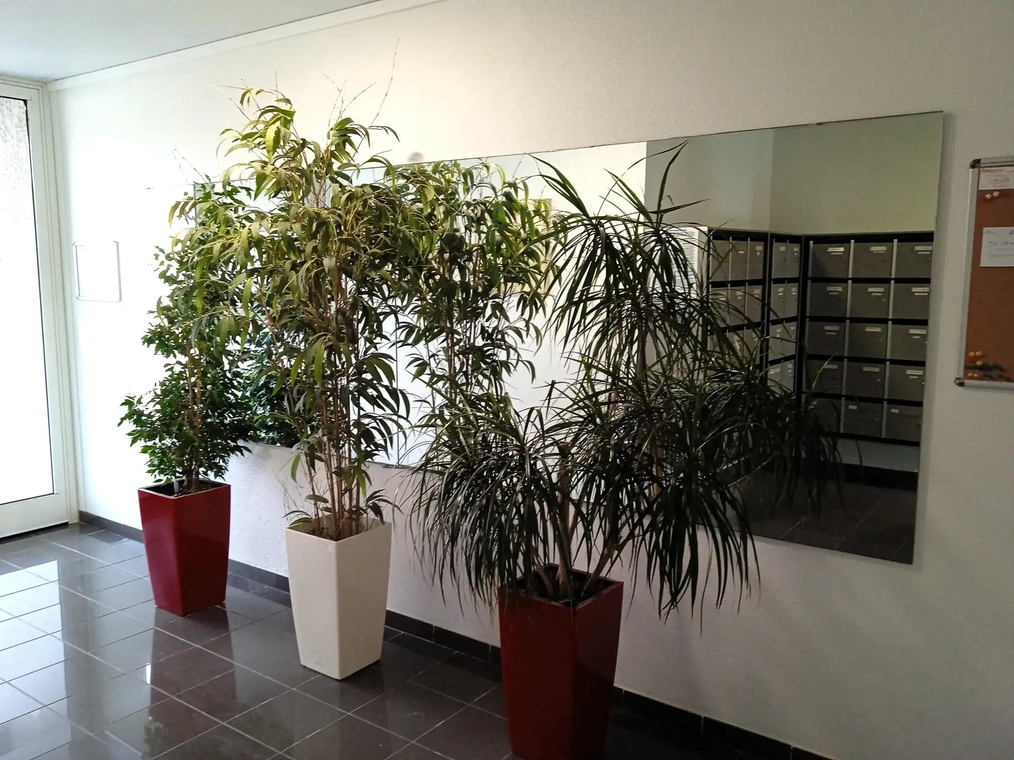 Appartement T3 avec loggia, piscine et parking à Valras Plage 