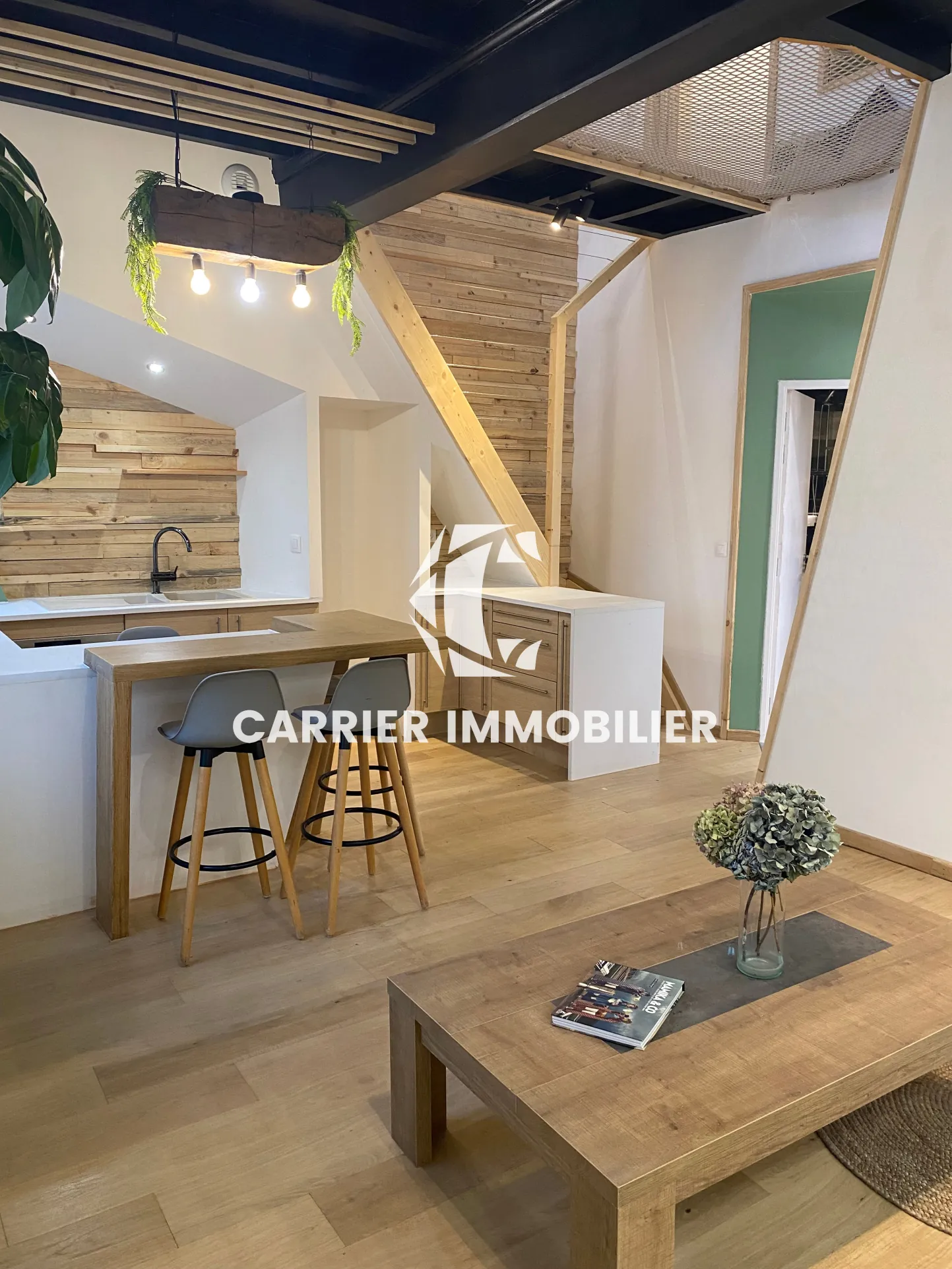 Maison de village de 120 m² avec deux appartements et jardin à Brussieu