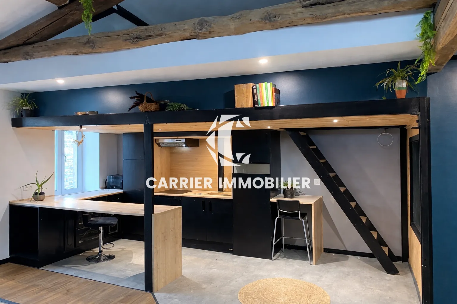 Maison de village de 120 m² avec deux appartements et jardin à Brussieu 