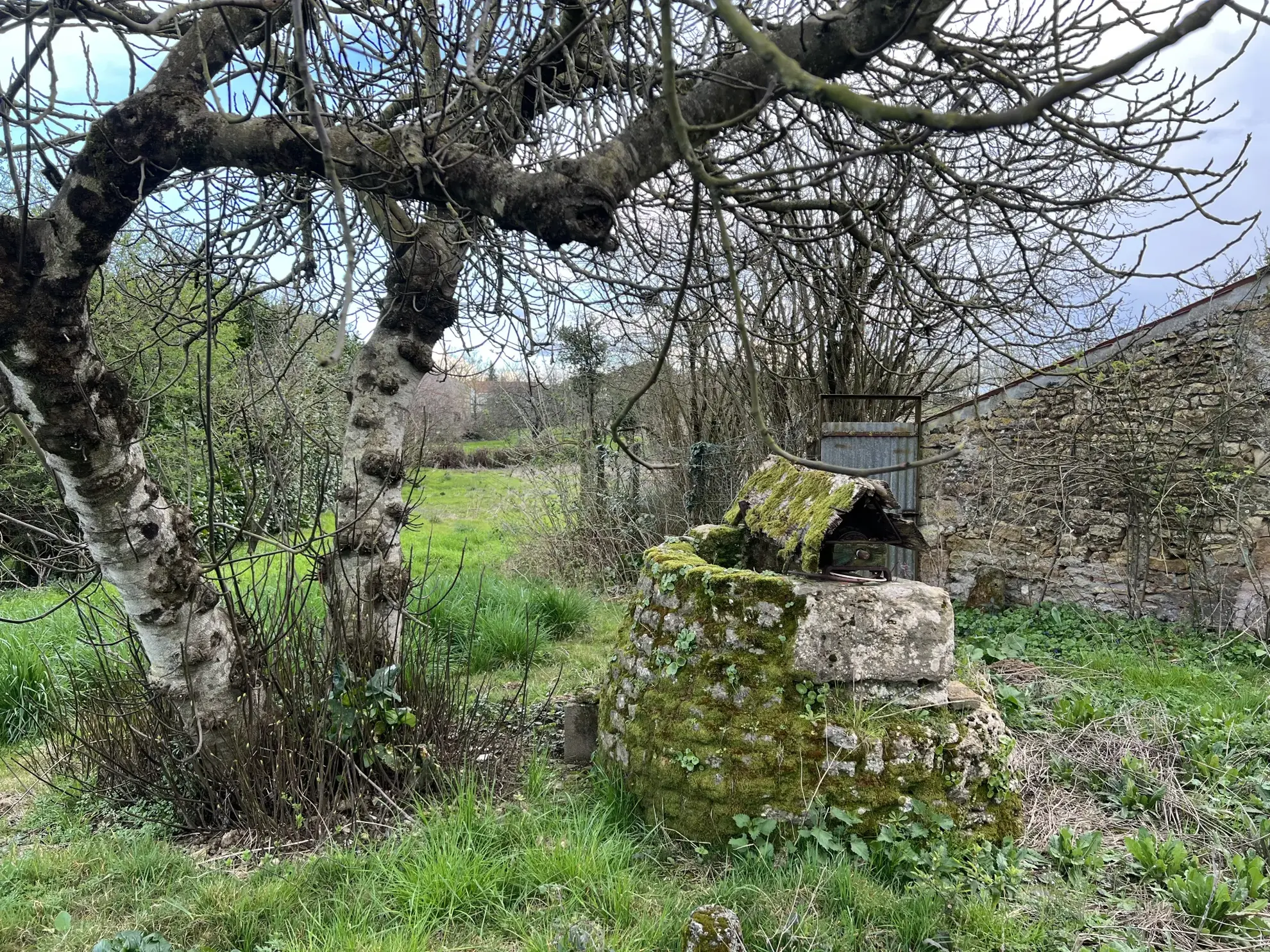 Maison en pierre à Thire avec dépendances et terrain grand volume 