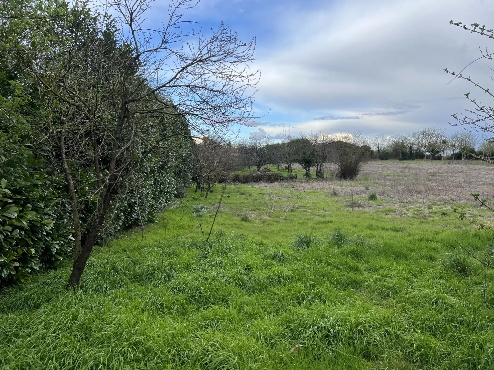 Maison en pierre à Thire avec dépendances et terrain grand volume 