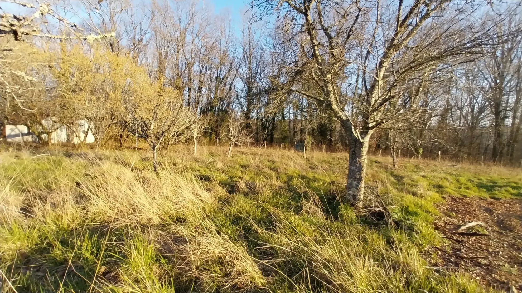 Terrain constructible à Château l'Évêque avec garage et atelier - 1775 m²
