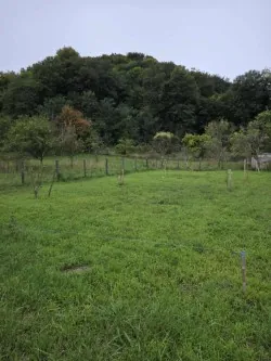 Terrain de 1528 m² à Saint-Maurice-sous-les-Côtes - Non constructible et non viabilisé