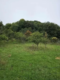 Terrain non constructible de 1528 m² à Saint-Maurice-sous-les-Côtes 