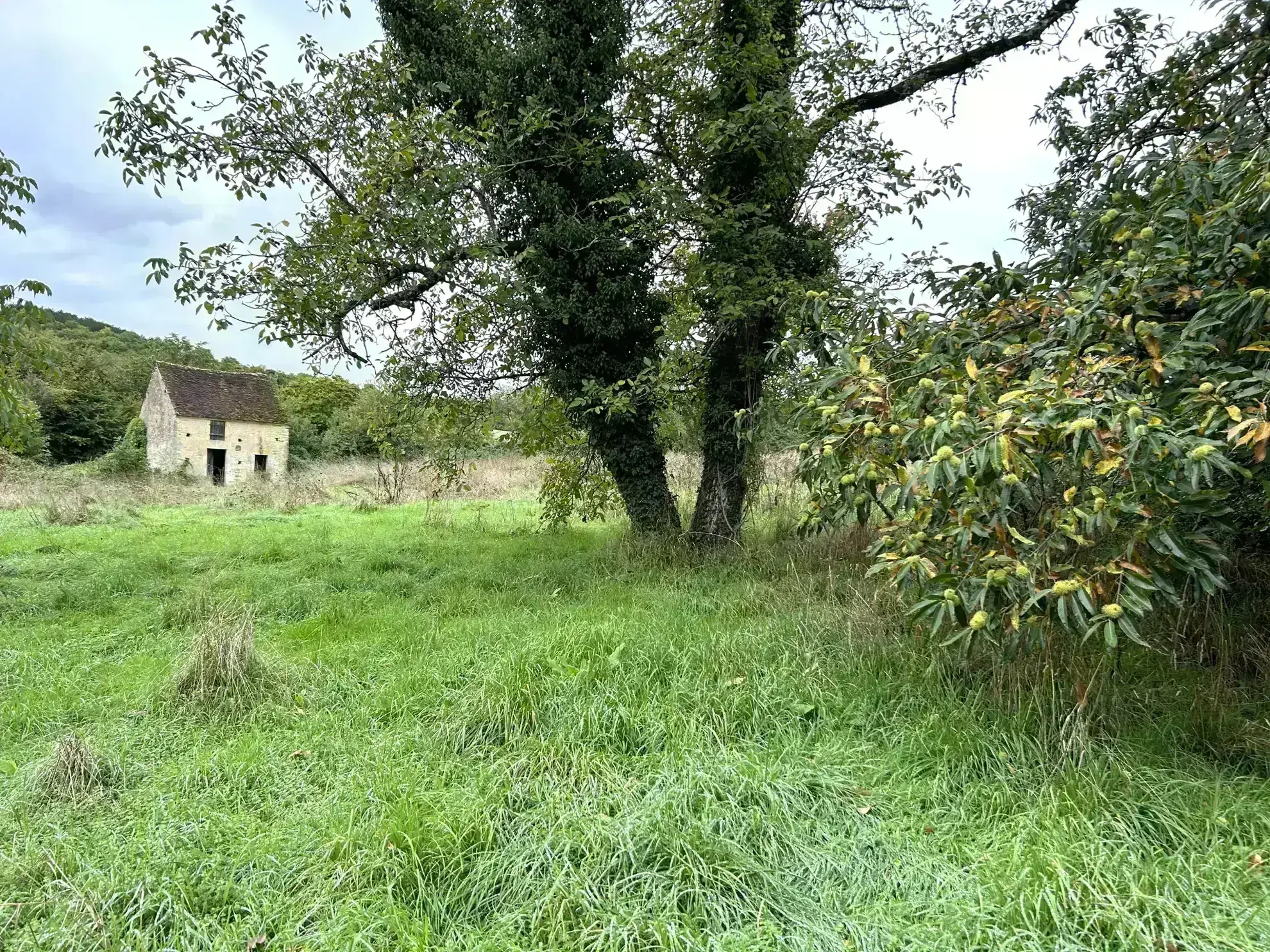 Charmante longère ancienne avec dépendances sur 7500 m² proche de l'étang du Merle 