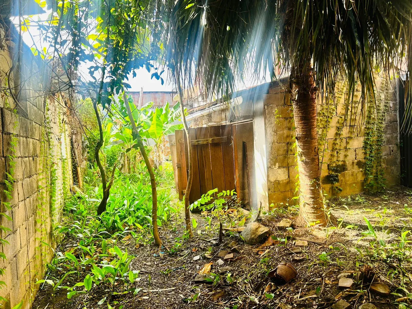 Maison à vendre en centre-ville de Cayenne avec jardin et garage 