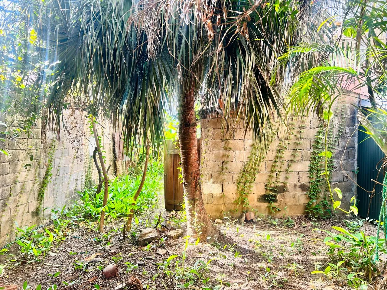 Maison à vendre en centre-ville de Cayenne avec jardin et garage 