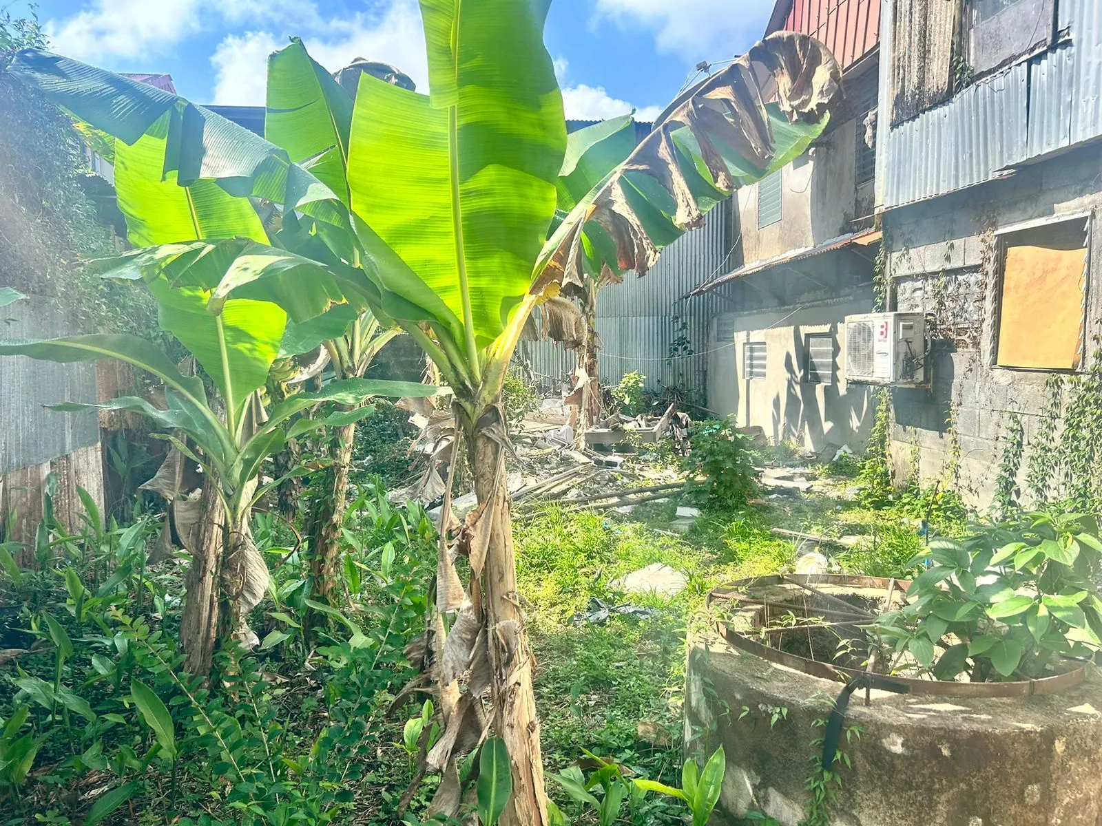 Maison à vendre en centre-ville de Cayenne avec jardin et garage 