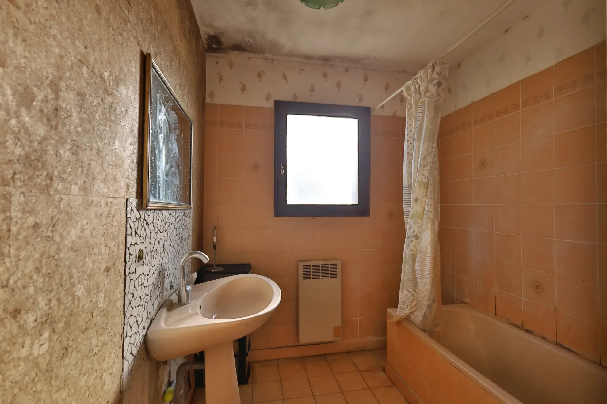 Belle maison de 96,10 m² avec grand terrain à Saint-Georges-d'Espéranche 