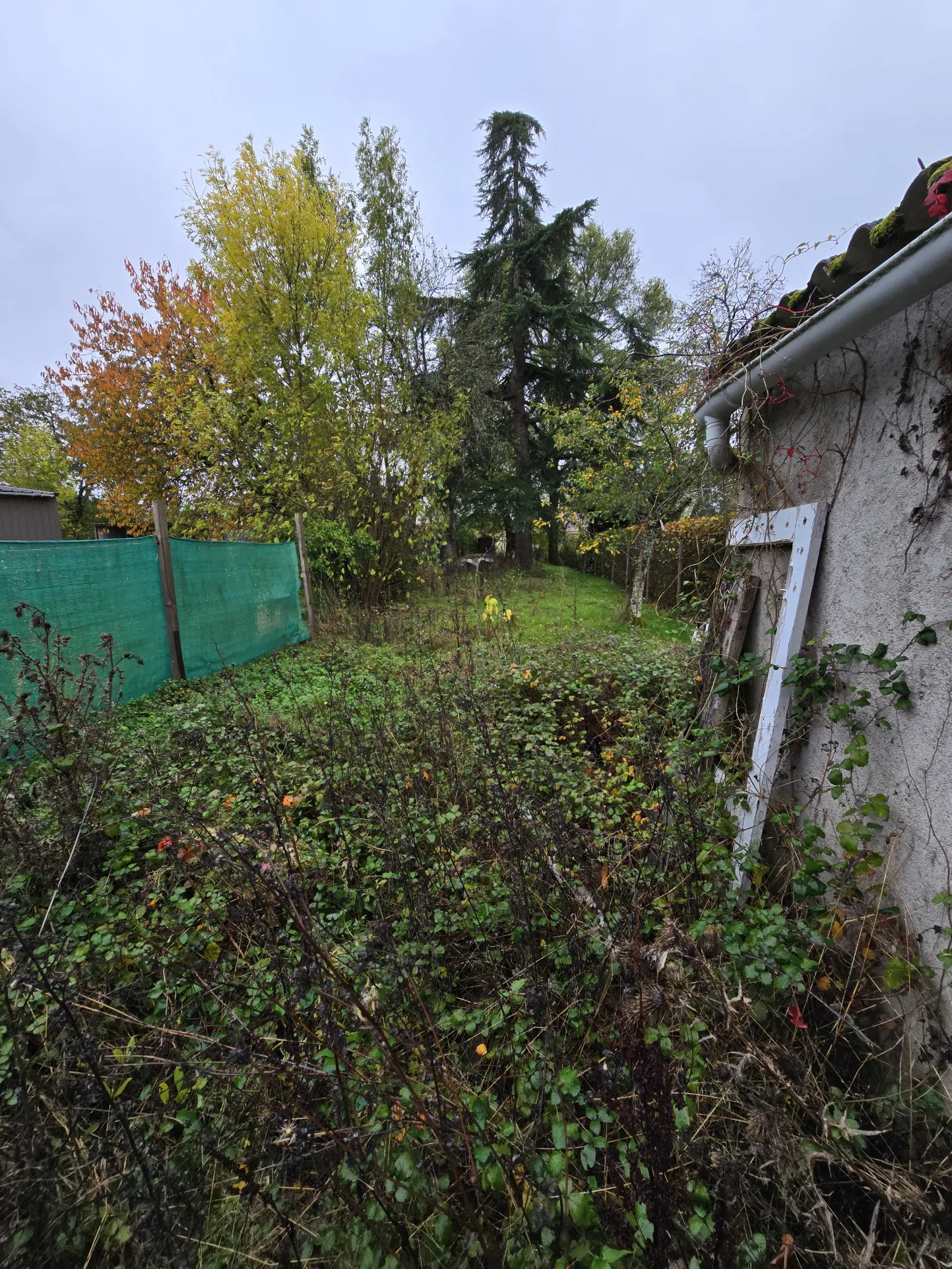 Maison de plain-pied avec jardin à Saint-Aout - Idéal investissement ou résidence principale 