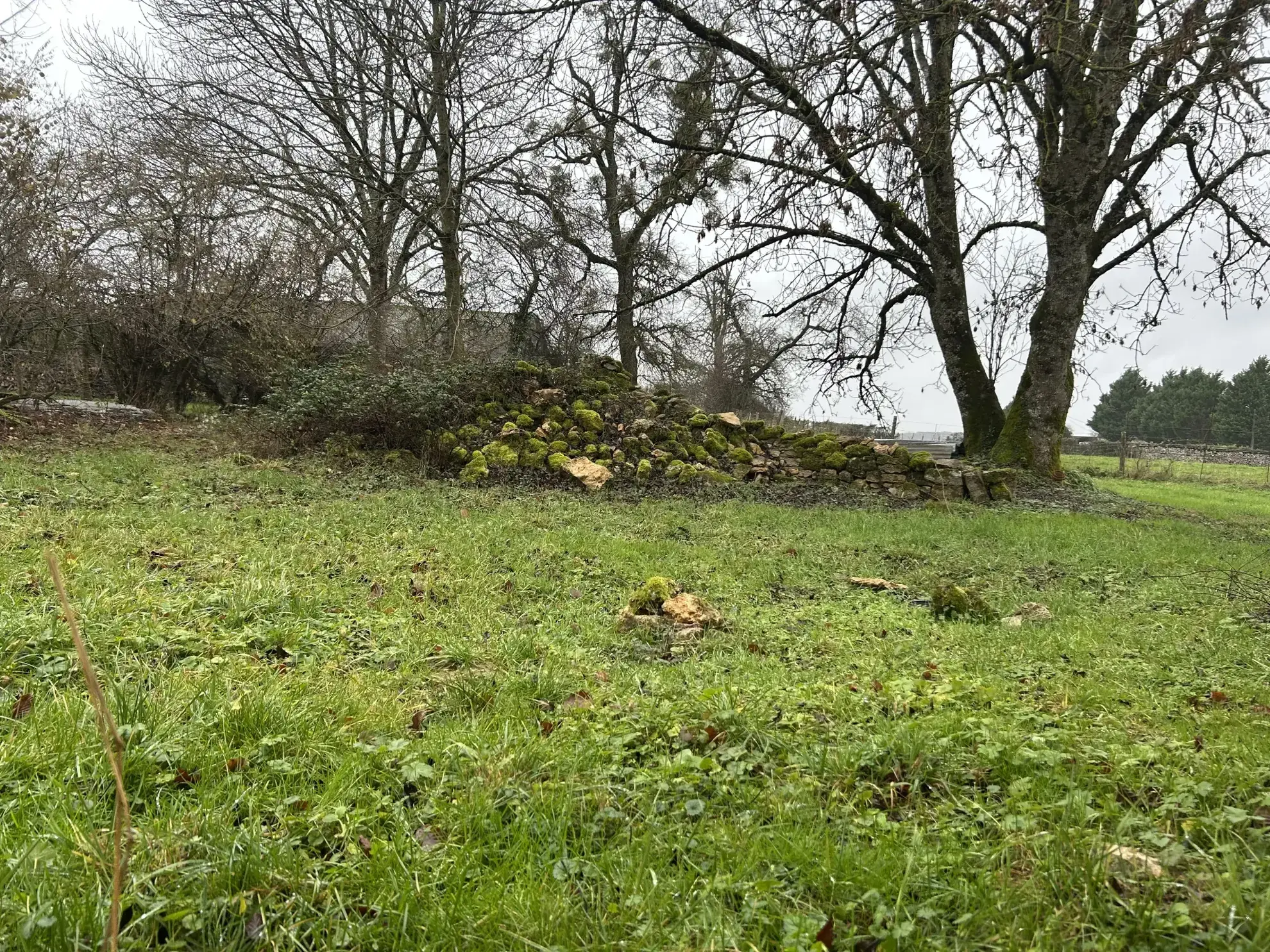 Charmante maison en pierres à Lurcy le Bourg, 97 m², terrain de 1755 m², rénovée et avec potentiel d'aménagement 