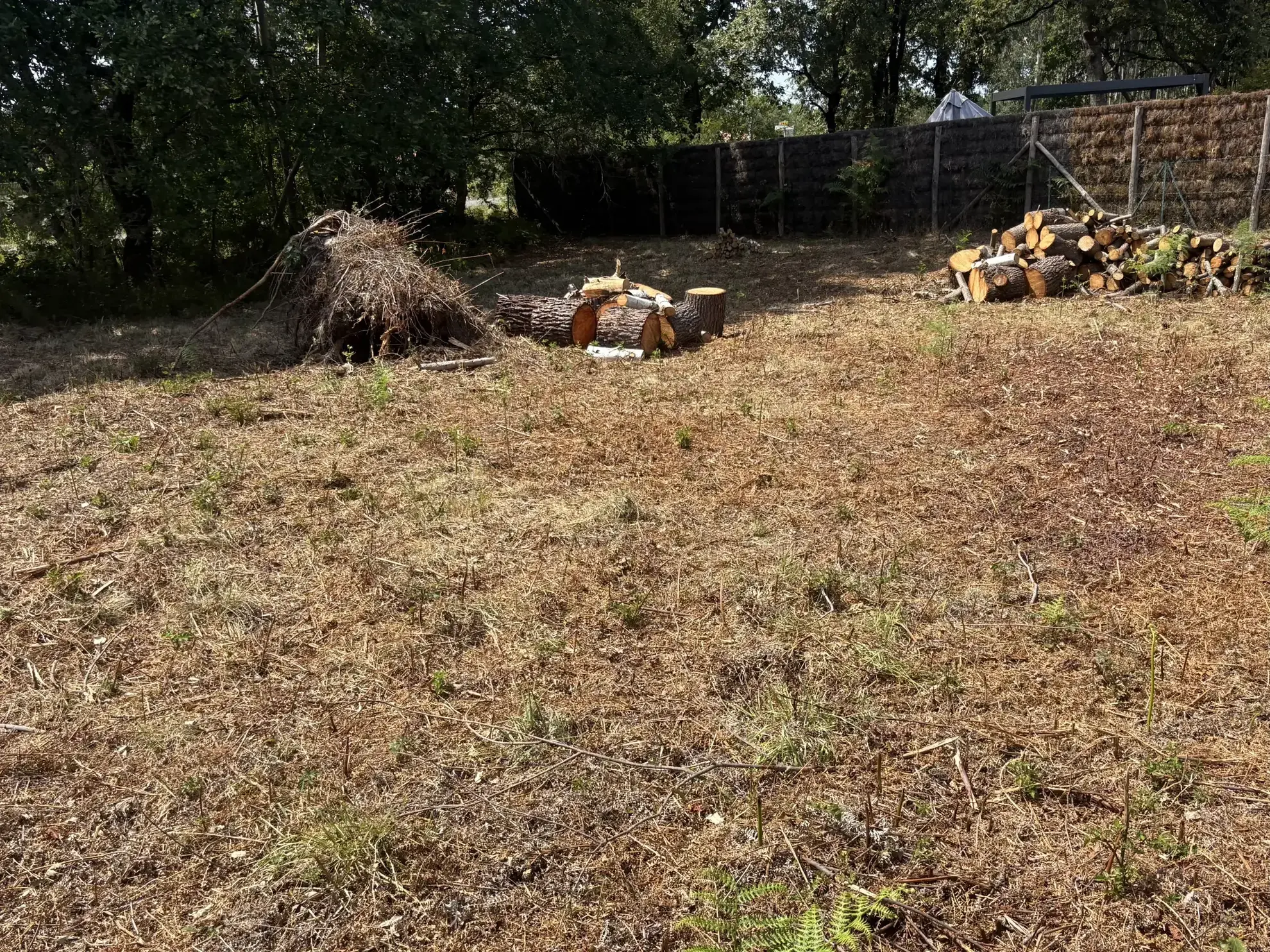 Terrain constructible à vendre à Saint-Paul-en-Born – Idéal pour résidence ou investissement