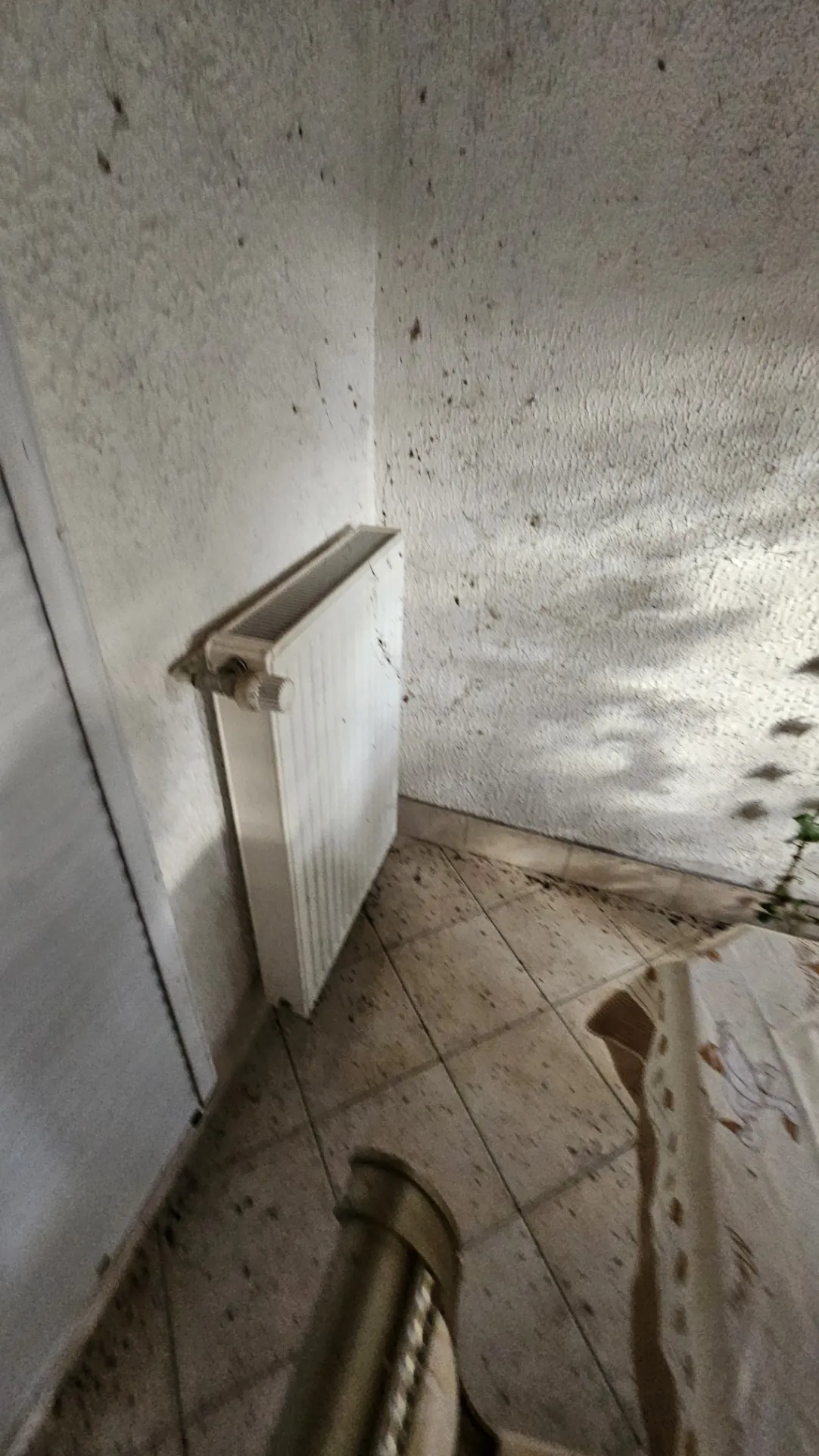 Maison individuelle à rénover de 95 m² avec garage à Ervauville 