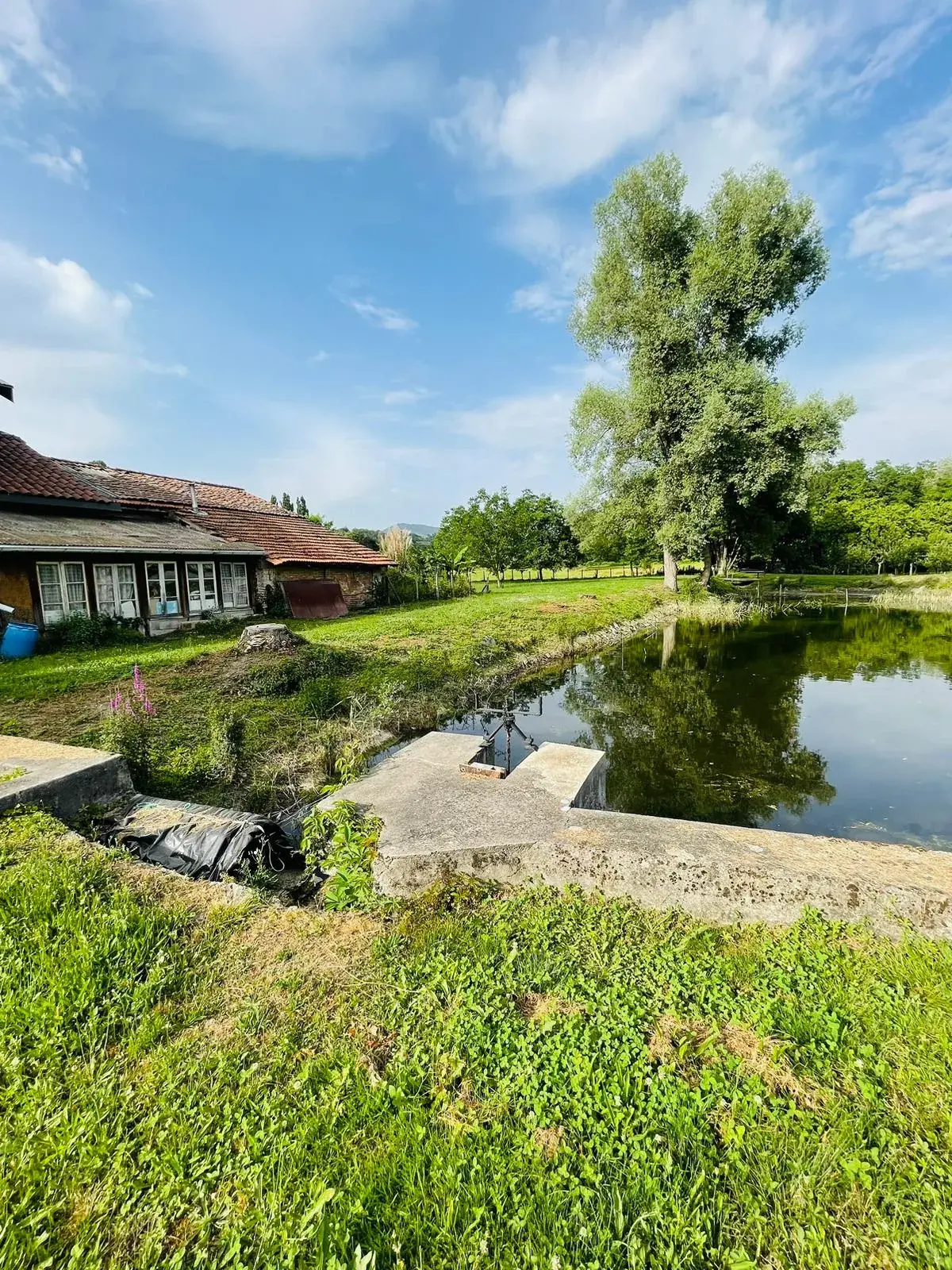 Maison avec deux granges à rénover à Moirans, cadre bucolique et fort potentiel 