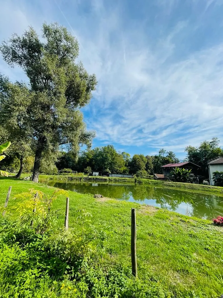 Maison avec deux granges à rénover à Moirans, cadre bucolique et fort potentiel 
