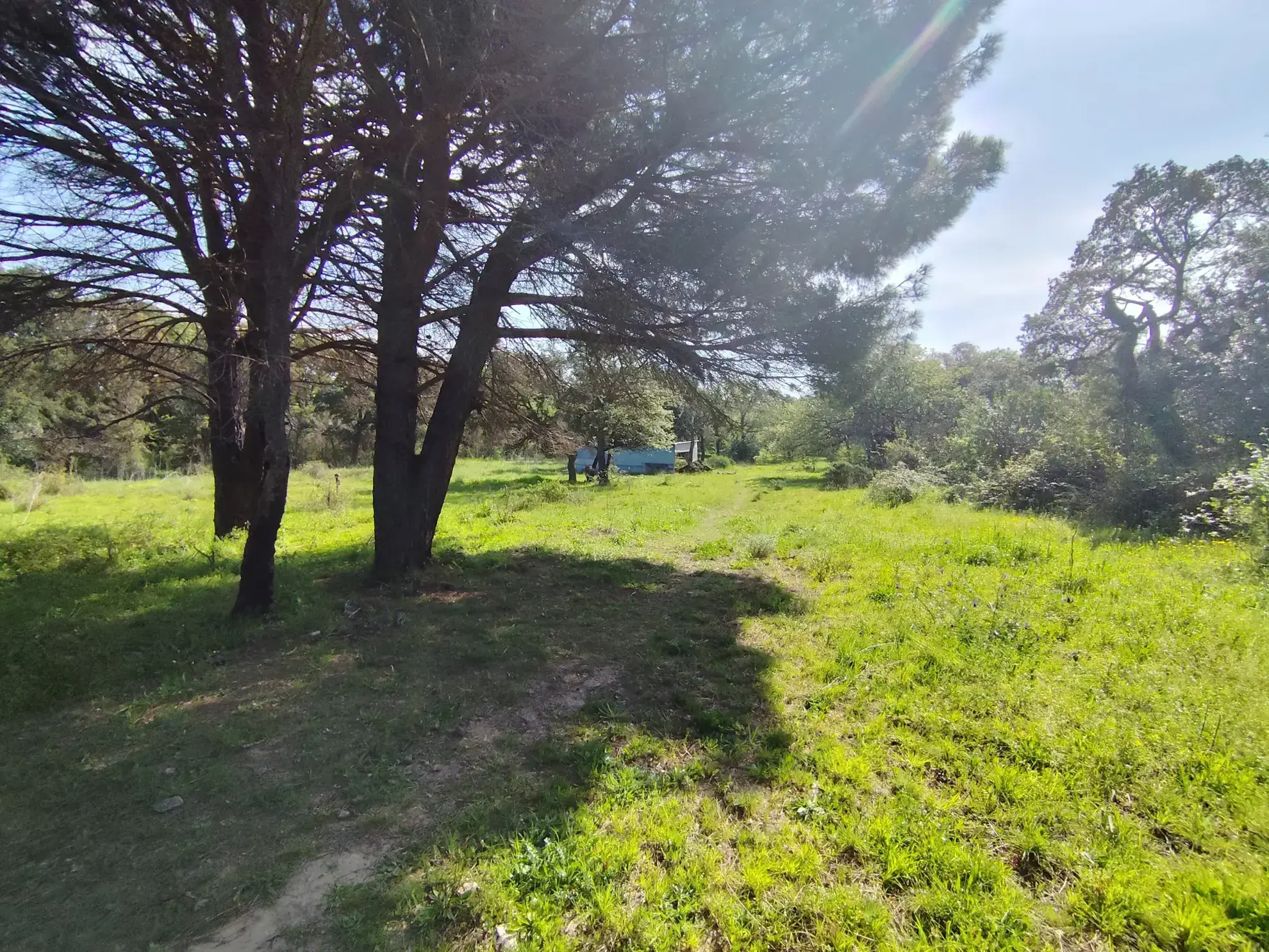 Terrain agricole de 7855 m² à Argelès-sur-Mer - Place au plein air et à la nature 
