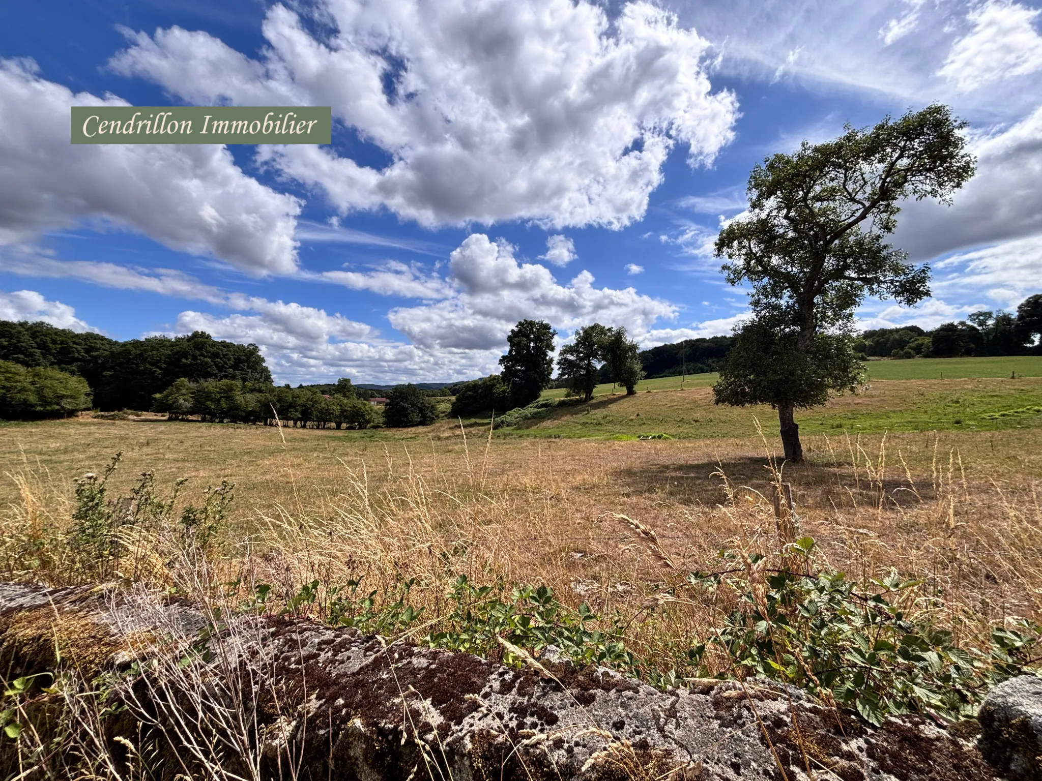 Maison en pierres à rénover avec grange, cave et jardin à St Dizier Leyrenne 