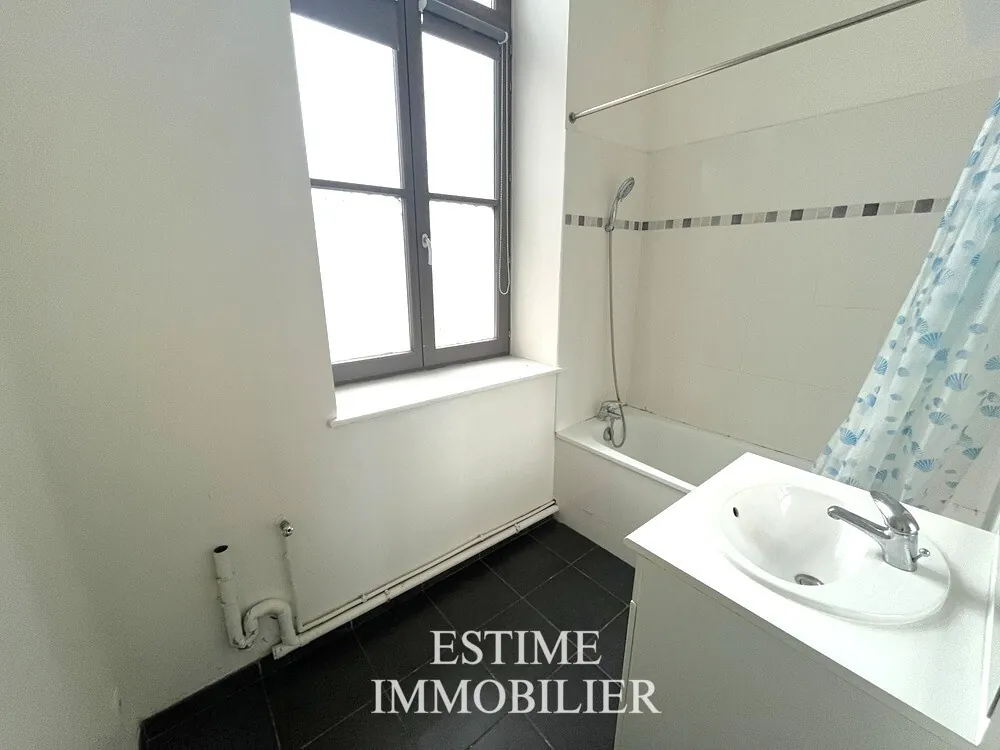 Appartement T2 à Roubaix avec parking, sécurité et vue sur parc 