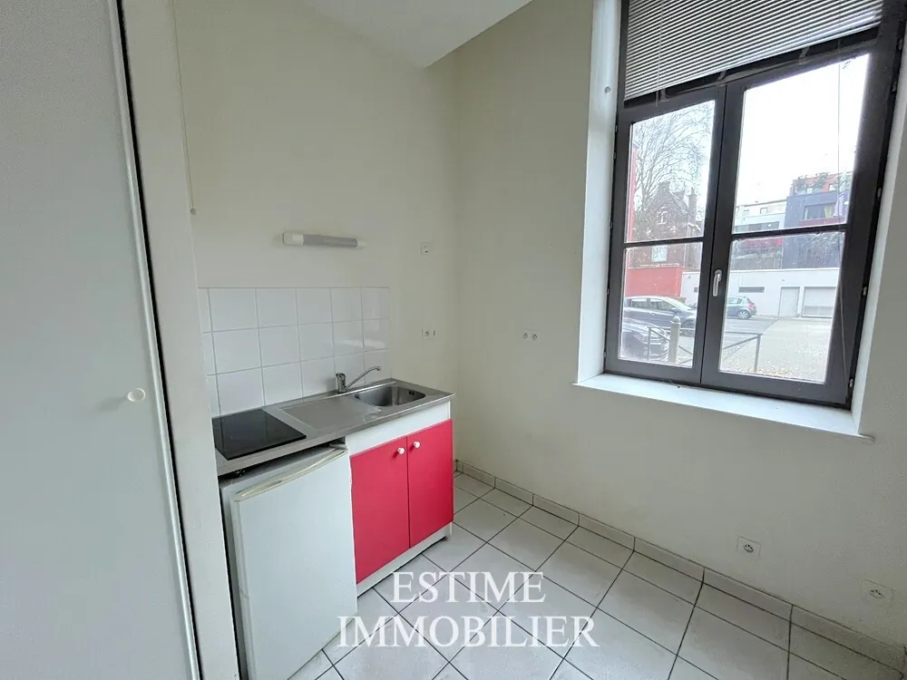 Appartement T2 à Roubaix avec parking, sécurité et vue sur parc 