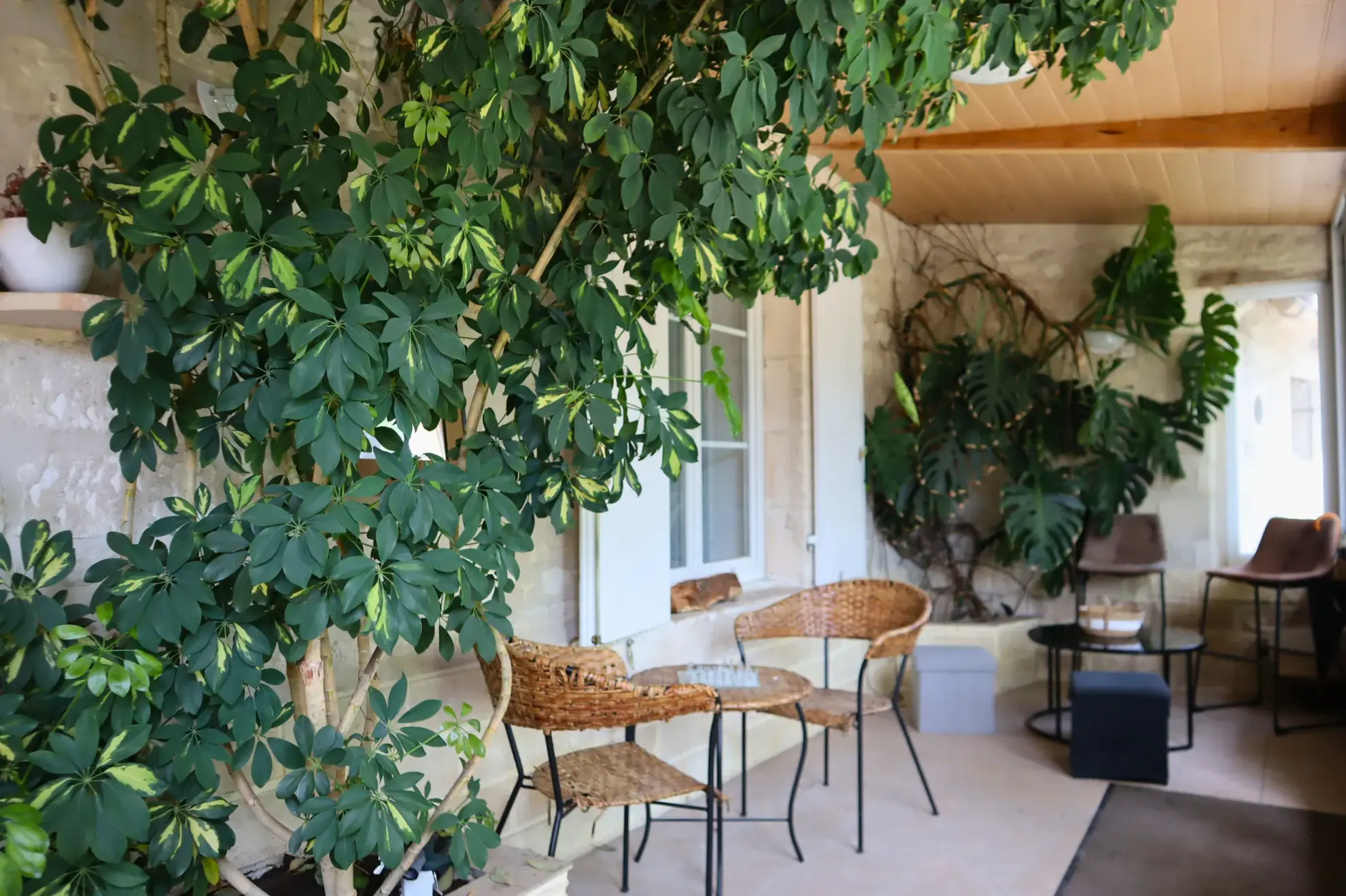 Charmante maison charentaise à Merpins avec jardin et confort moderne 