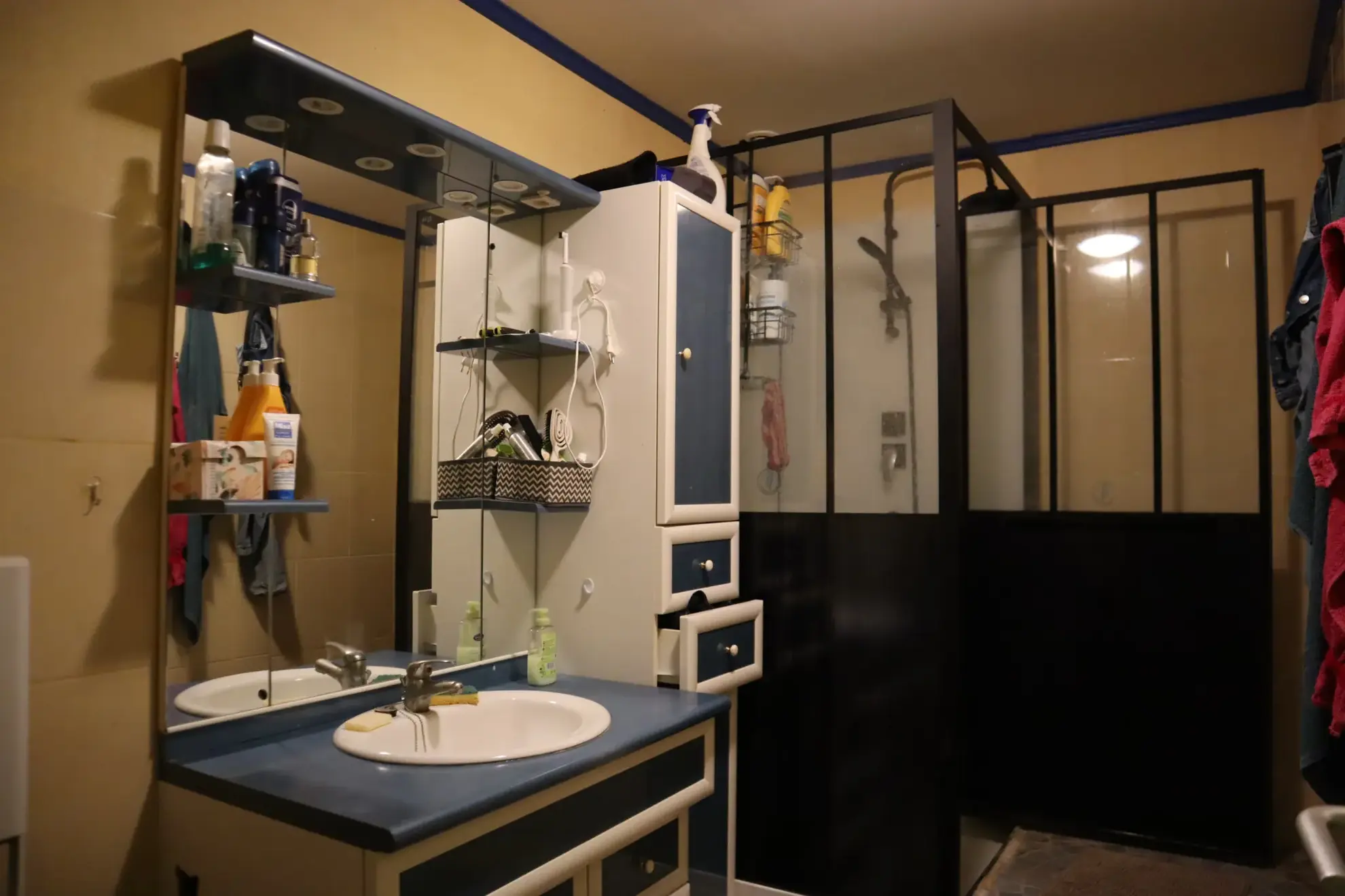 Charmante maison charentaise à Merpins avec jardin et confort moderne 