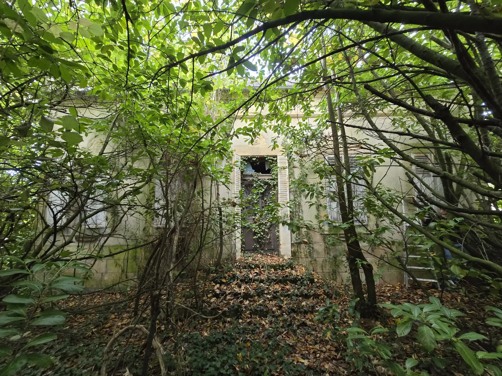 Maison à vendre avec jardin à Meillant, 2 chambres, cave et espace extérieur 