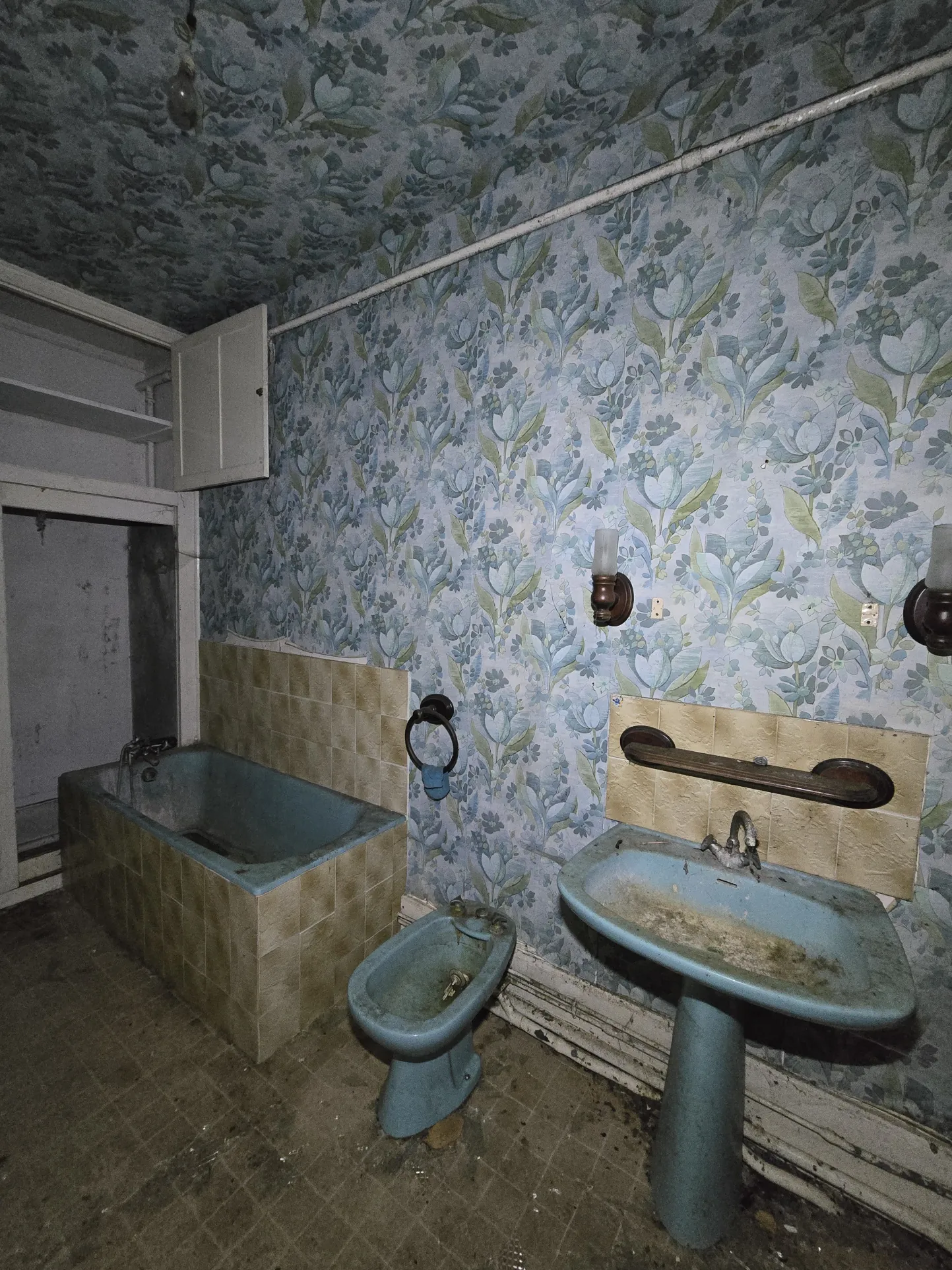 Maison à vendre avec jardin à Meillant, 2 chambres, cave et espace extérieur 