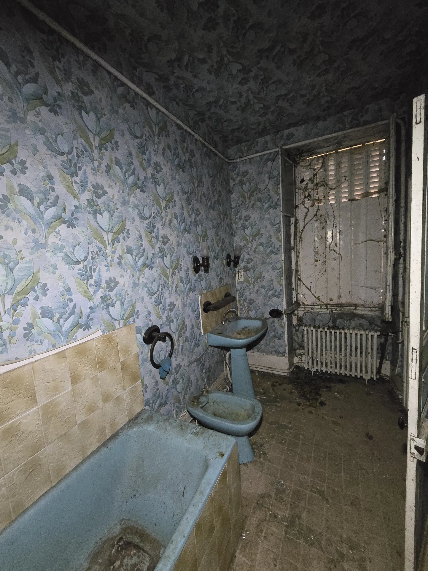 Maison à vendre avec jardin à Meillant, 2 chambres, cave et espace extérieur 