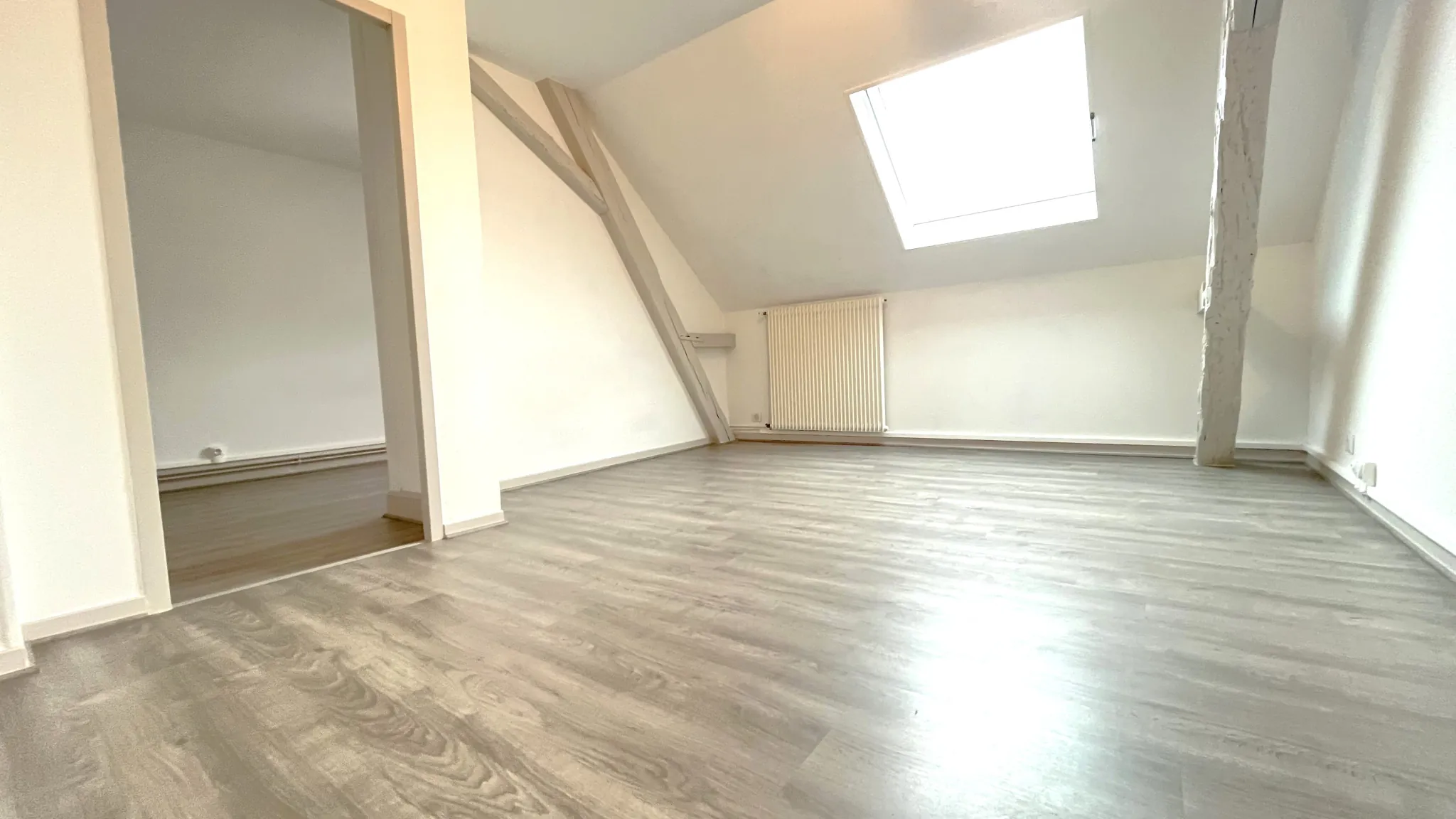 Appartement T3 rénové à Belfort à vendre avec cave et jardin, idéal investissement