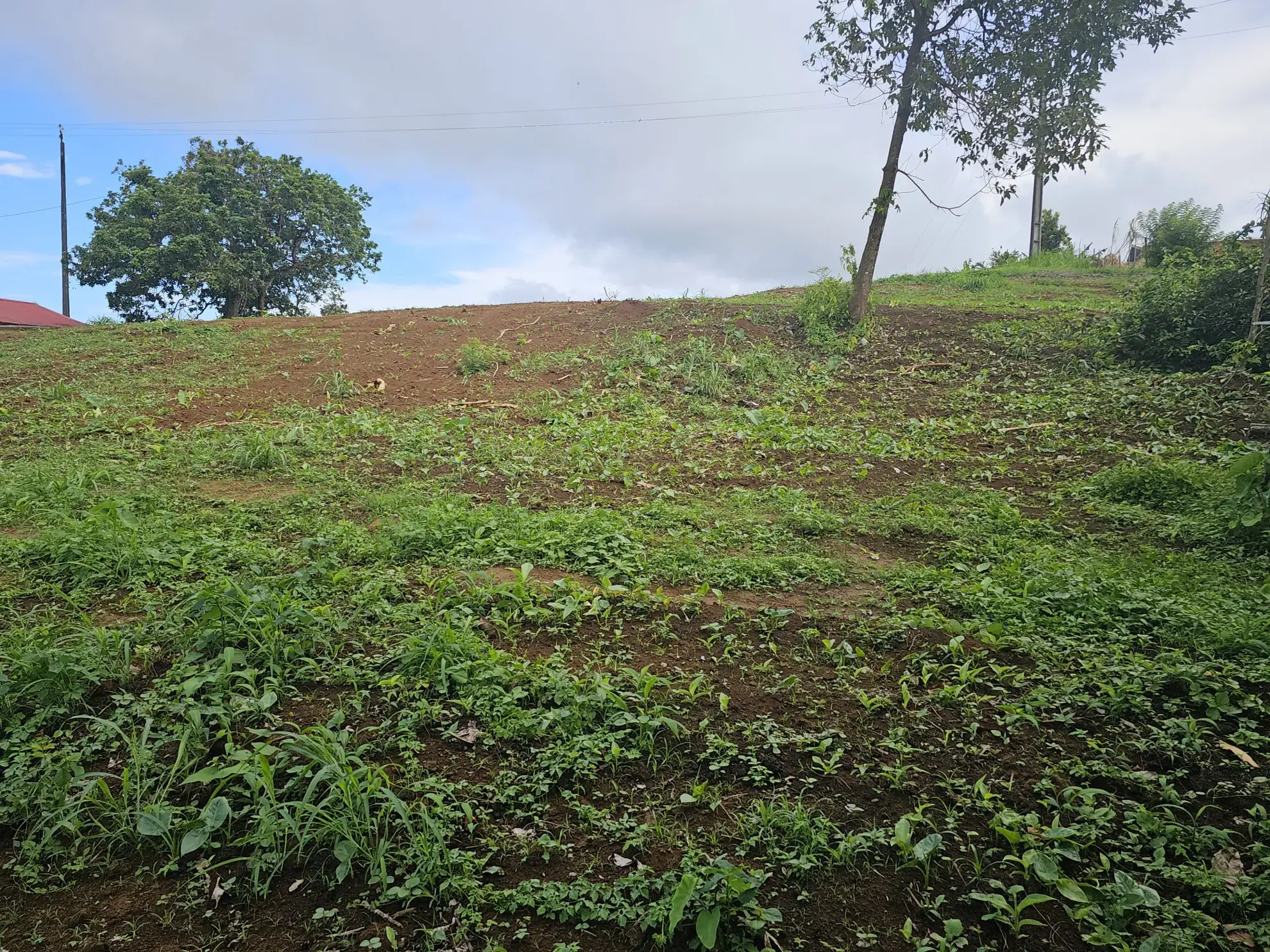 Terrain constructible en pente douce au Bourg du Morne des Esses - Sainte-Marie 