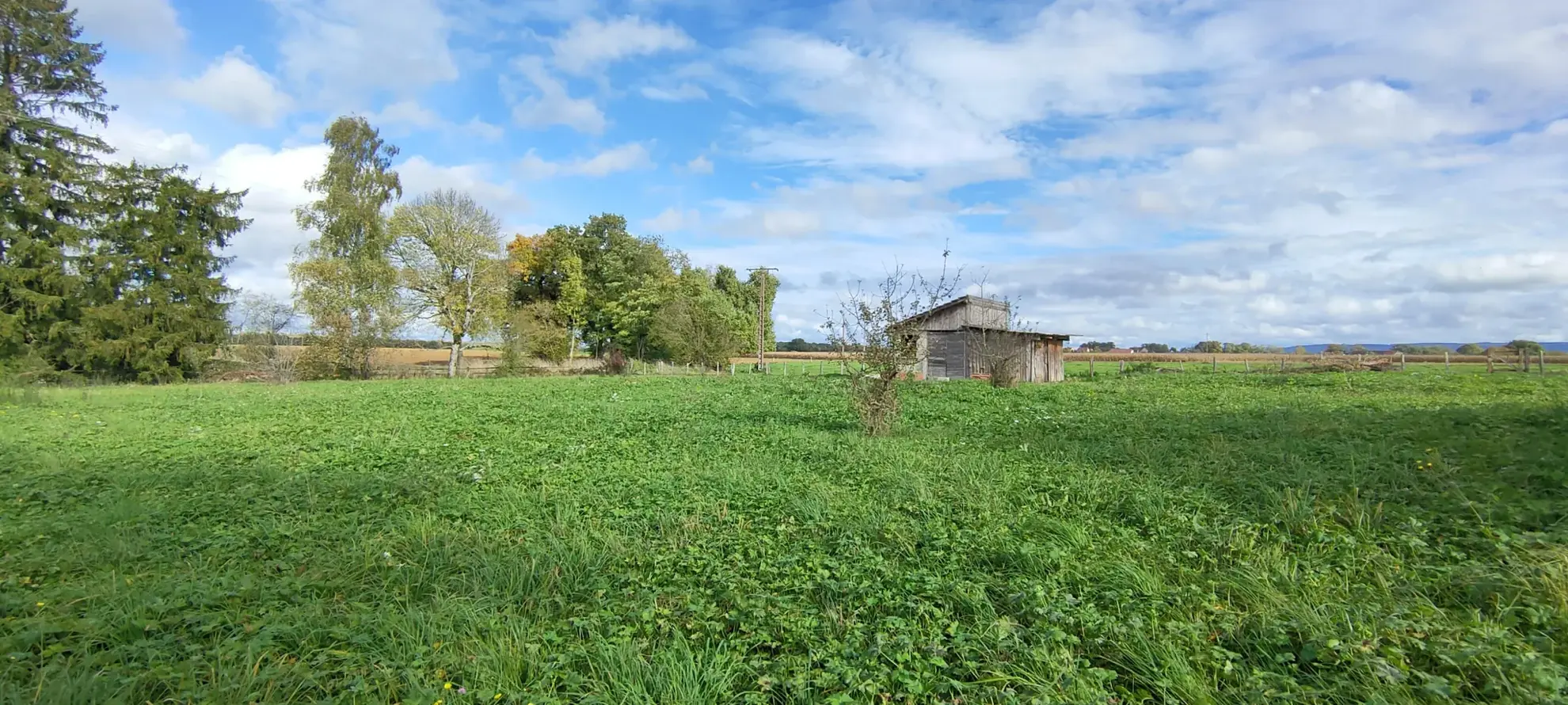 Terrain constructible de 2425 m² à Villers-les-Bois, calme et libre de construction 