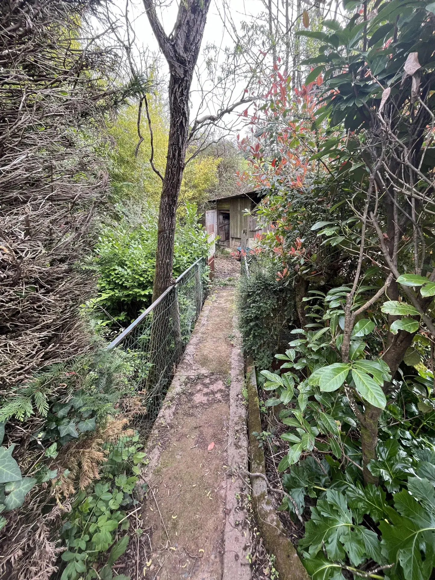 Maison 5 pièces à vendre à Objat près de la verdure - 107 m² 