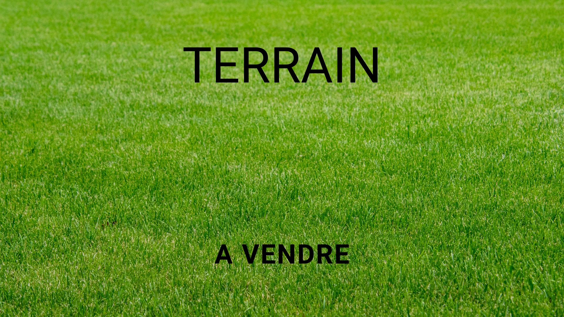 Terrain boisé de 6 hectares à Vanxains, environnement calme