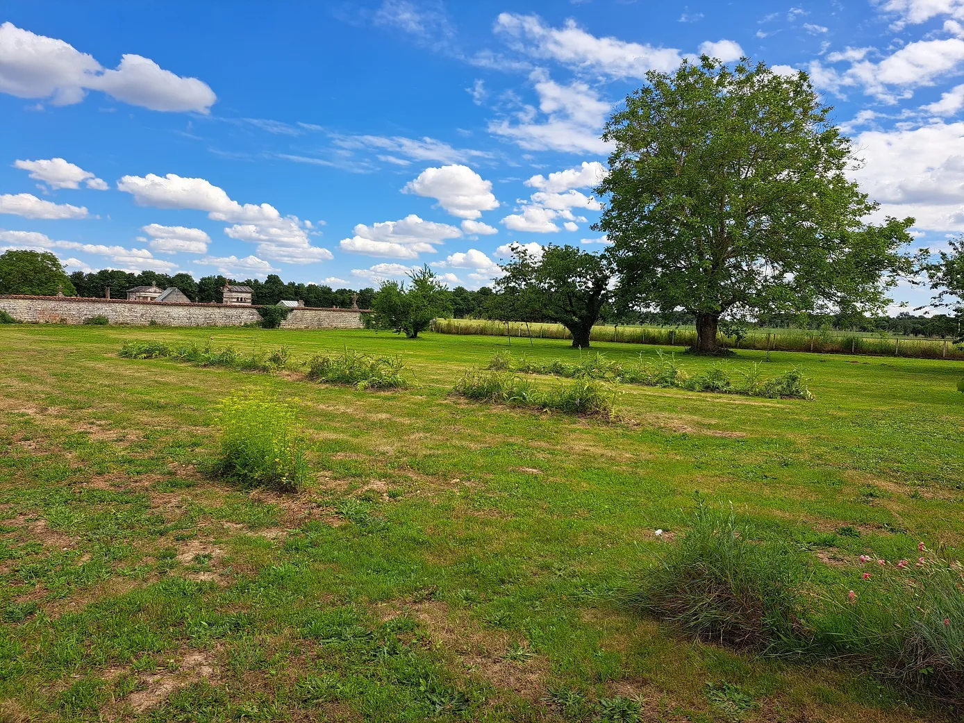 Terrain constructible de 3420 m² à Geay, idéal investissement ou construction 
