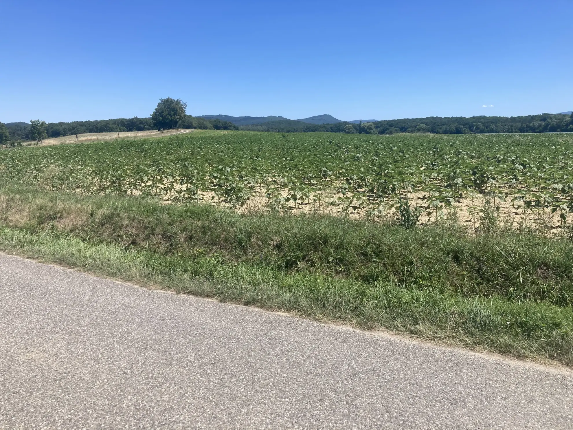 Achat de terrain agricole de 13 670 m² à Léran, Ariège - Opportunité à saisir