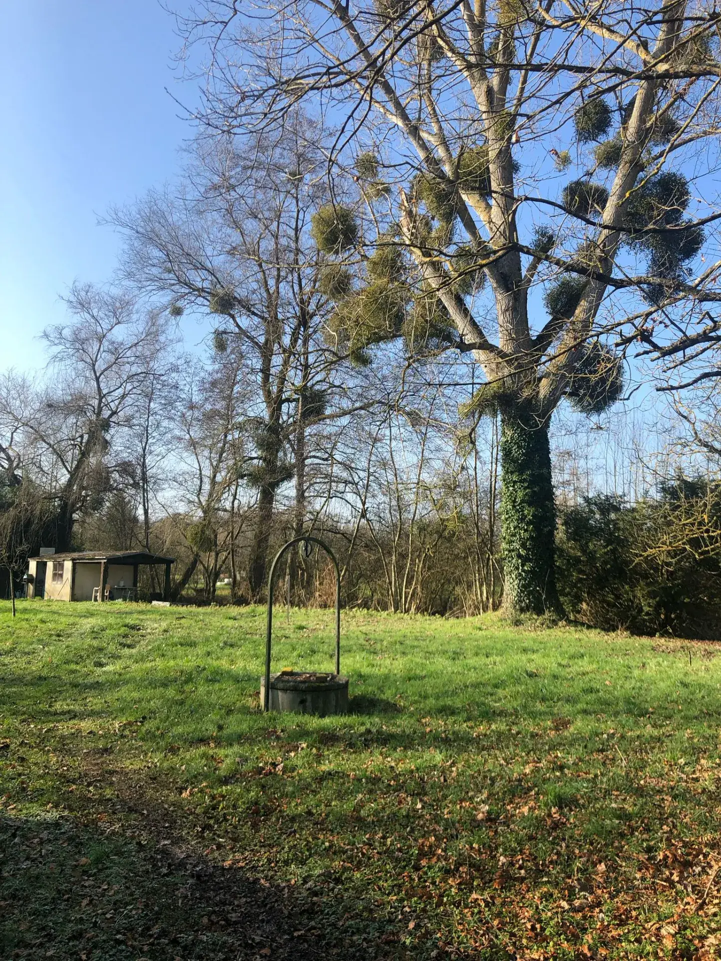 Terrain de loisir à Ruvigny de 1200 m² à vendre dans un environnement calme