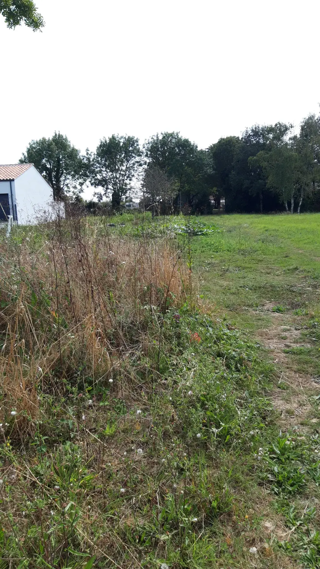 Terrain constructible de 754 m² à Le Bernard, proximité plages et écoles