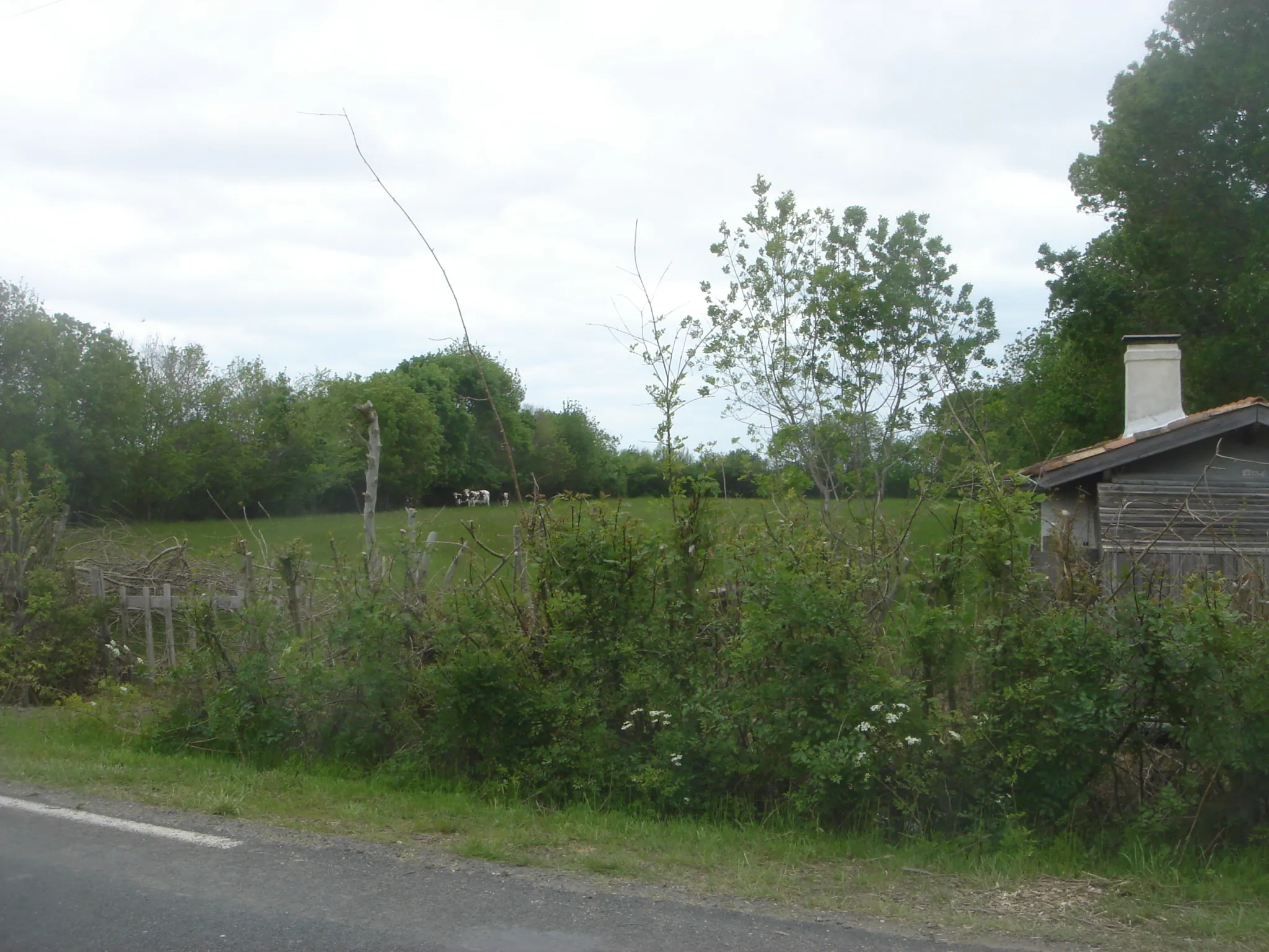 Terrain de loisir à Bégadan avec cabane de chasse de 5850 m²