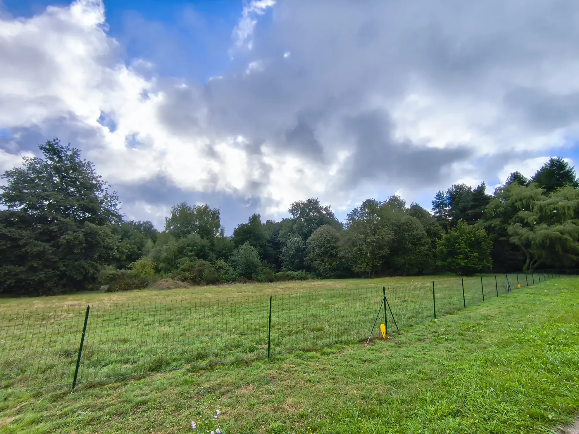 Terrain de 21 299 m² à Saint-Rémy-sur-Durolle, idéal pour activités de loisirs 