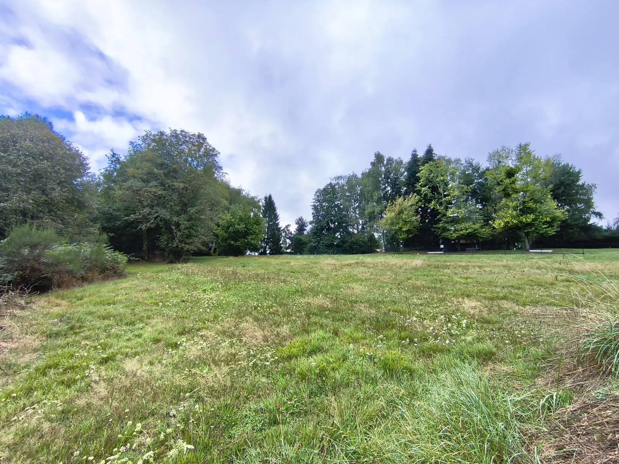 Terrain de 21 299 m² à Saint-Rémy-sur-Durolle, idéal pour activités de loisirs 