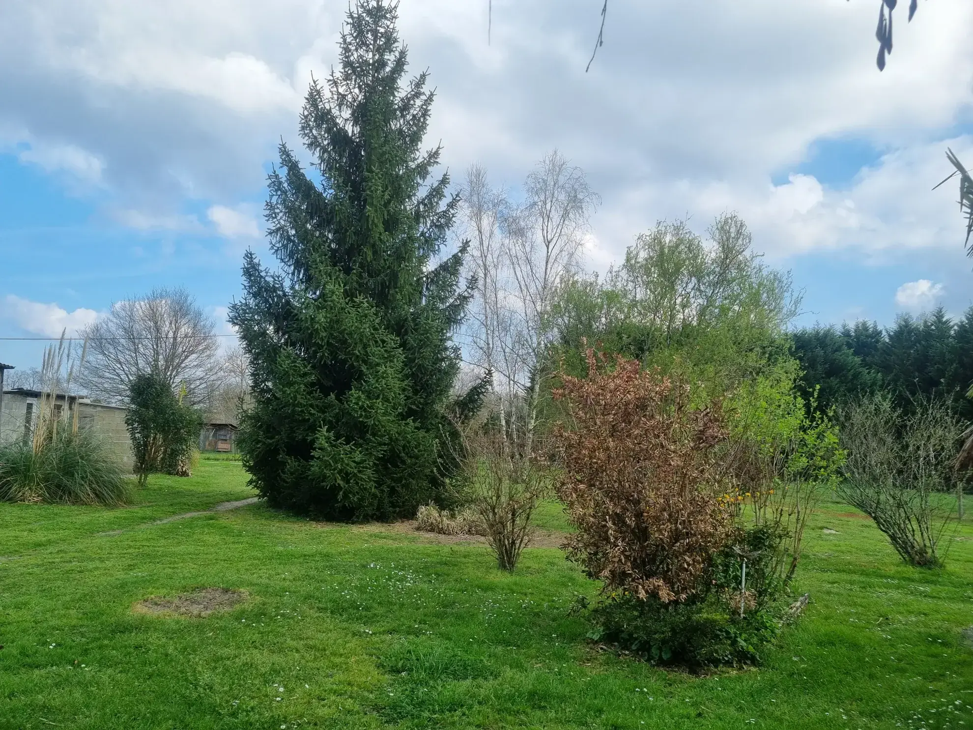 Magnifique maison de plain-pied à proximité de Bazas avec jardin et terrasse 
