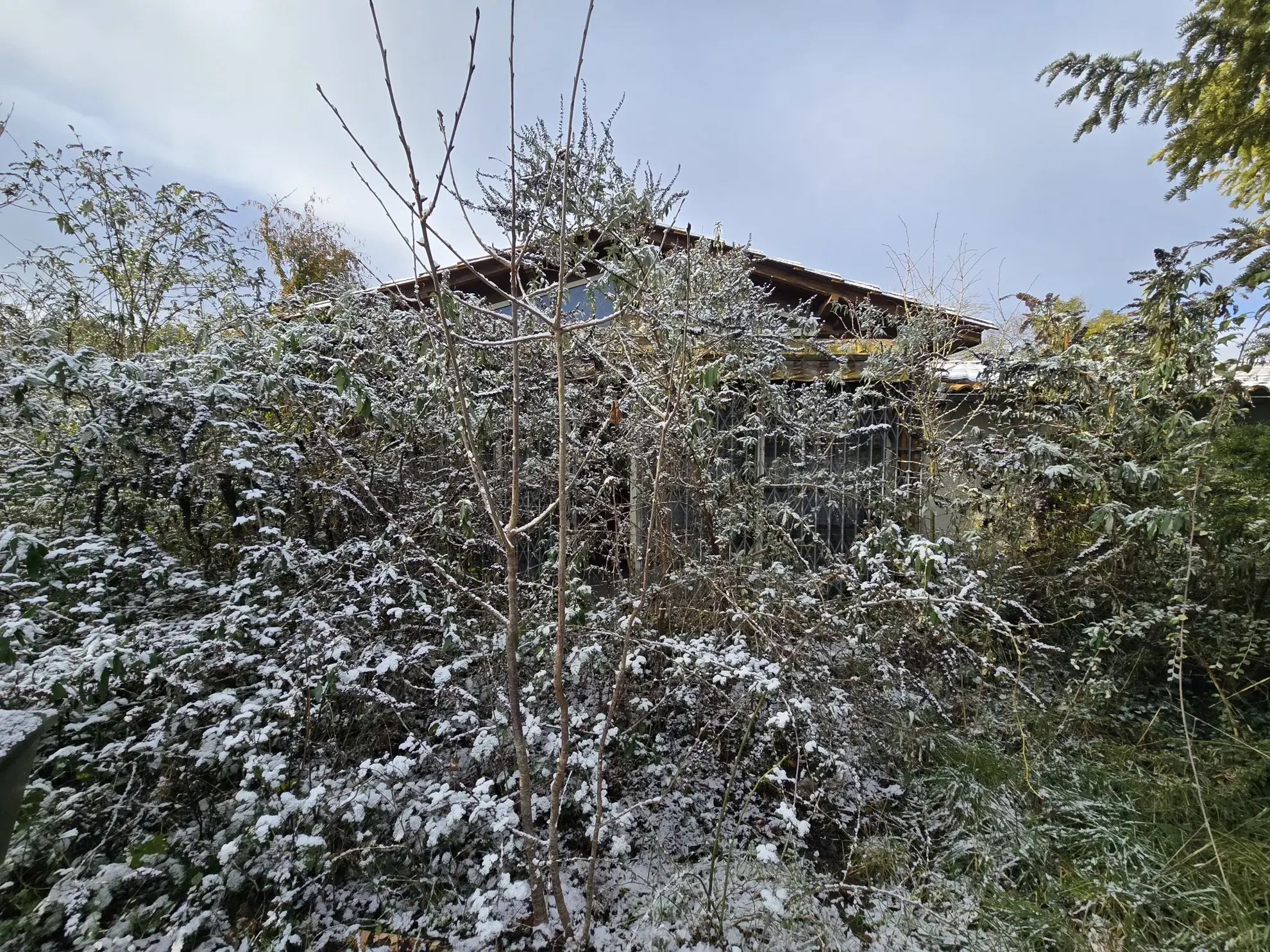 Maison de plain-pied avec jardin, garages et dépendances à Rouillac (16170) 