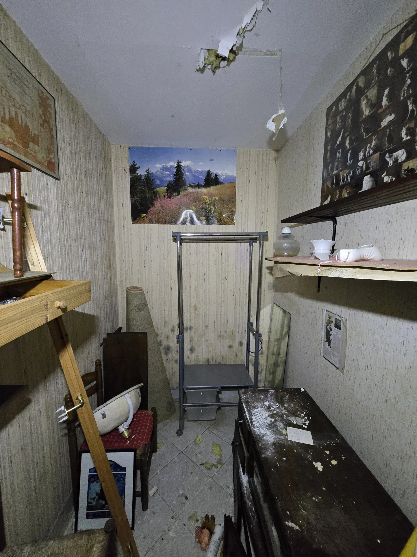 Maison de plain-pied avec jardin, garages et dépendances à Rouillac (16170) 