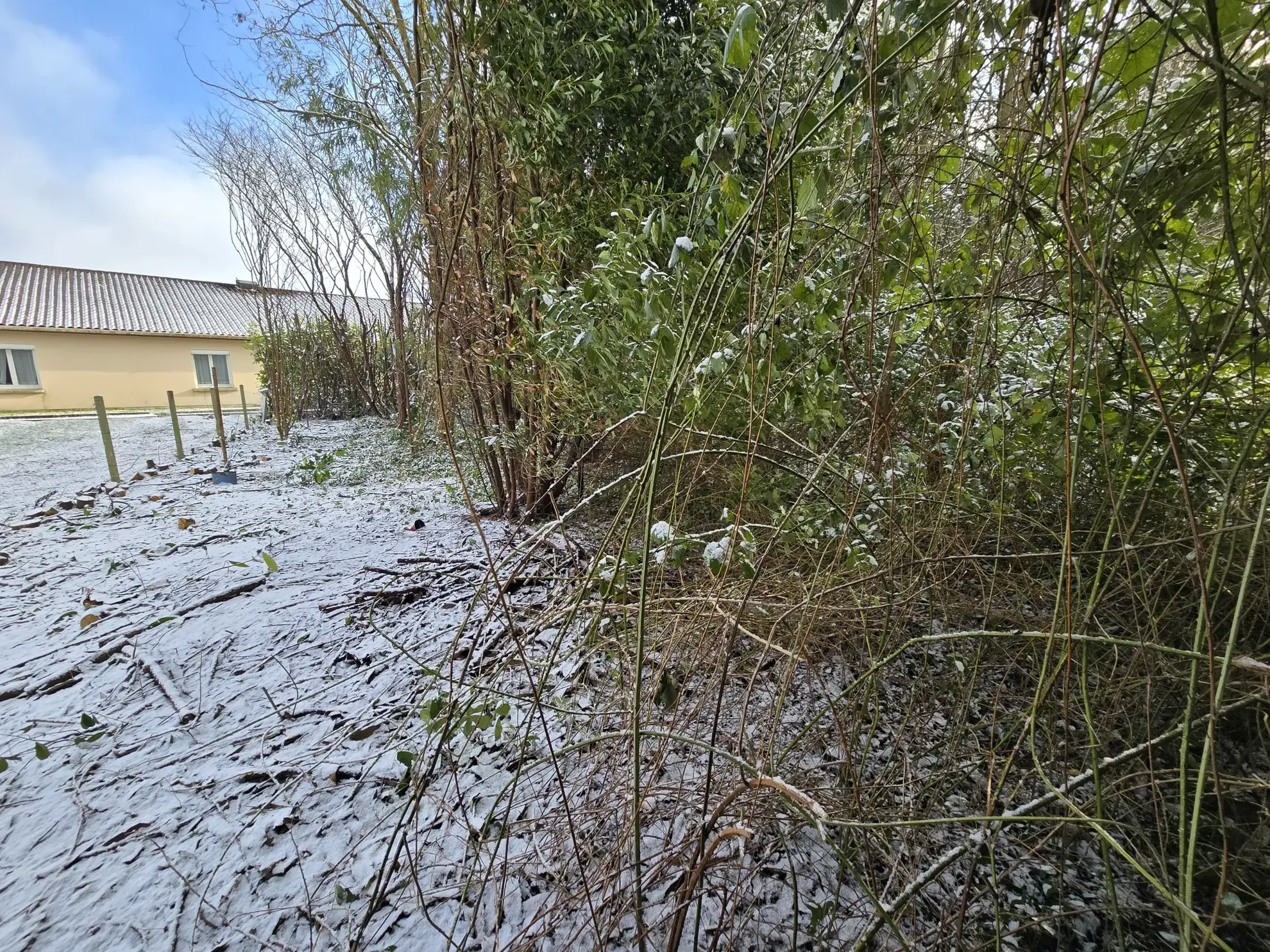 Maison de plain-pied avec jardin, garages et dépendances à Rouillac (16170) 