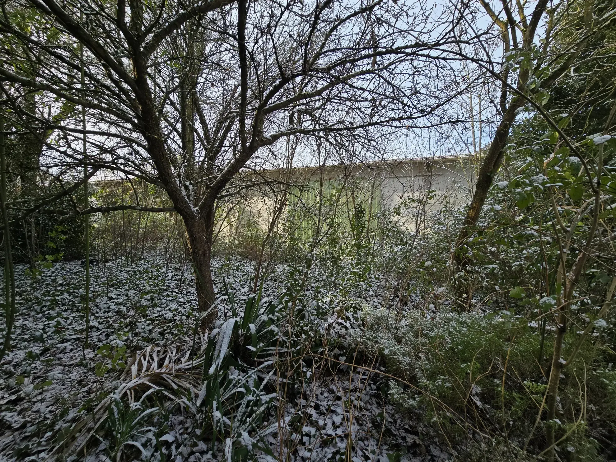Maison de plain-pied avec jardin, garages et dépendances à Rouillac (16170) 