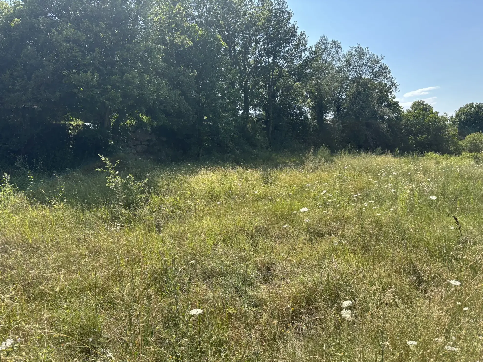 Terrain constructible à vendre à Entrechaux (Vaucluse, 84340) - Possibilité de construction 